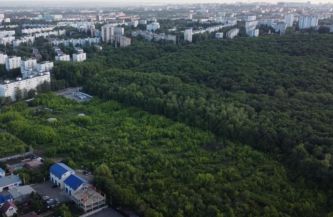 В Самаре возбудили уголовное дело из-за разделения и продажи Парка 60-летия Советской власти
